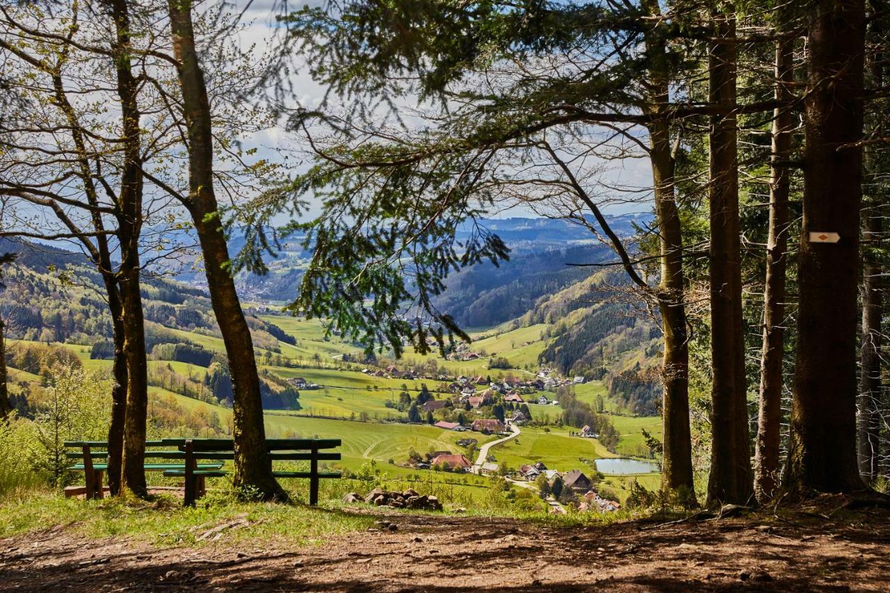 Elzland Hotel Pfauen Wellness & Spa Elzach Zewnętrze zdjęcie